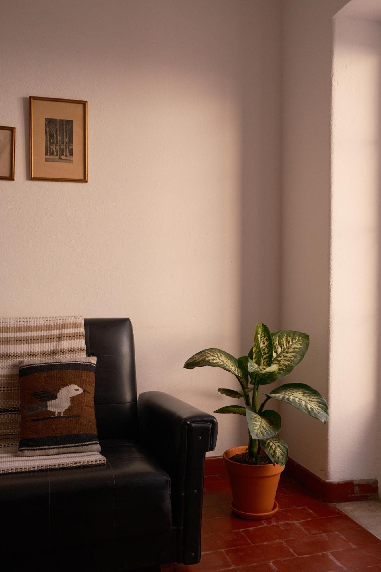 Apartmán Manas Coliving Sines Exteriér fotografie